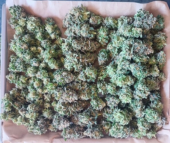 Growreport Bild 26