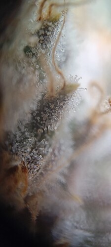 Growreport Bild 10