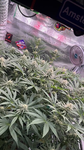 Growreport Bild 14