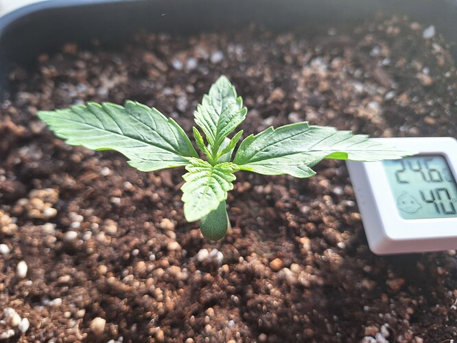 Growreport Bild 5