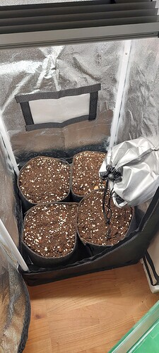 Growreport Bild 11