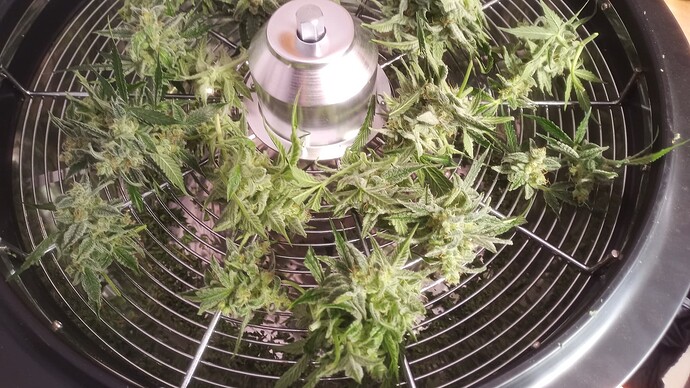 Growreport Bild 14