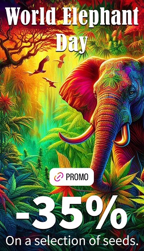 Screenshot_20240823_125036_Instagram