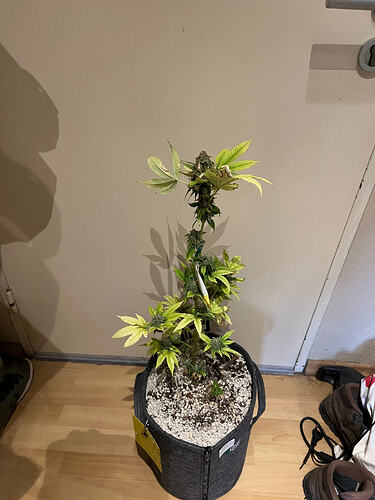 Growreport Bild 8