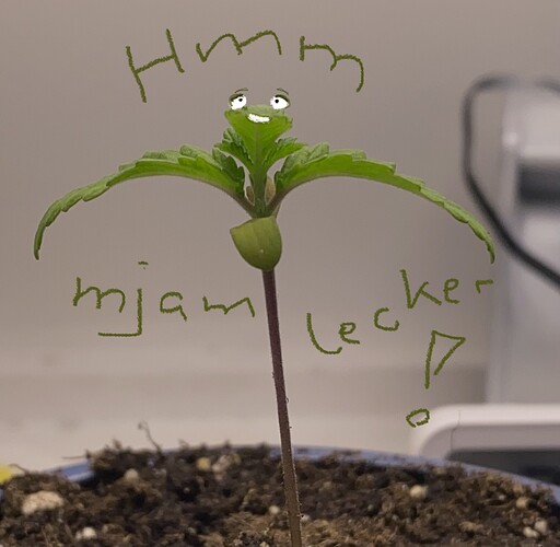 Growreport Bild 9