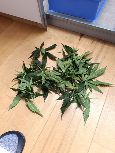 Growreport Bild 48