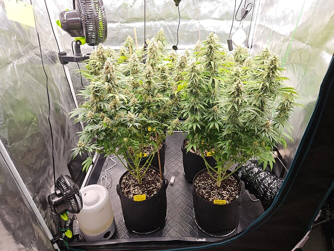 Growreport Bild 19