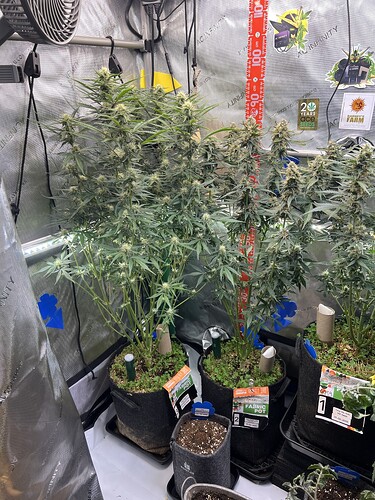 Growreport Bild 17
