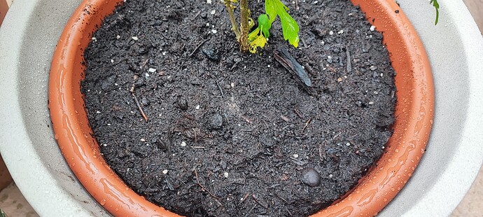 Growreport Bild 14