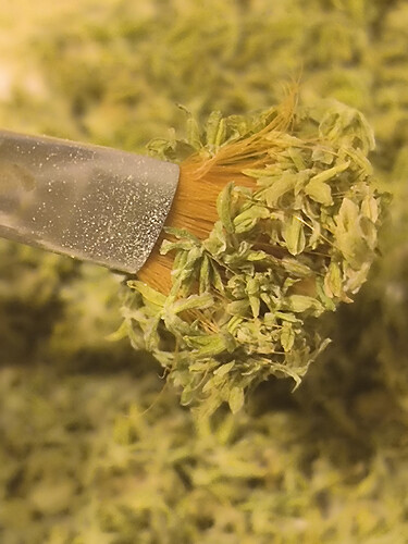Growreport Bild 5