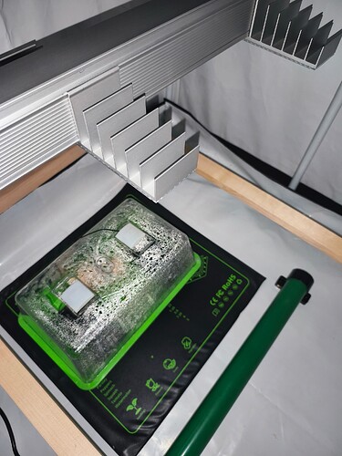 Growreport Bild 8