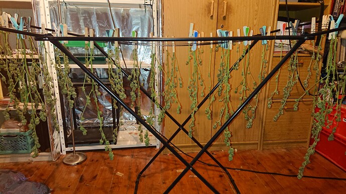 Growreport Bild 28