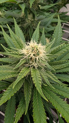 Growreport Bild 22