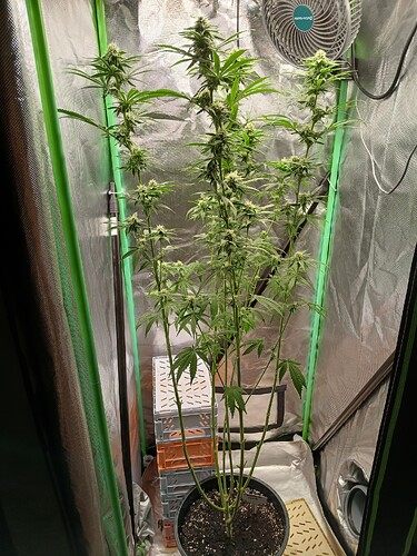 Growreport Bild 10
