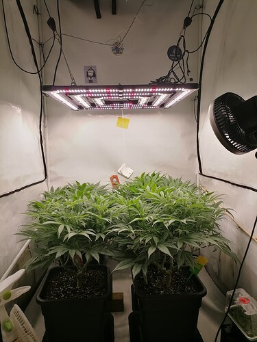 Growreport Bild 6