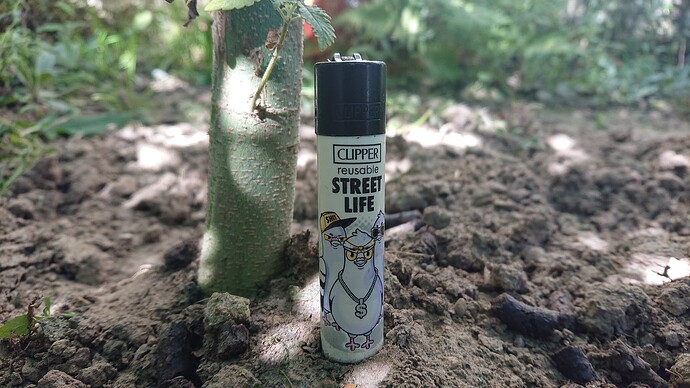 Growreport Bild 47