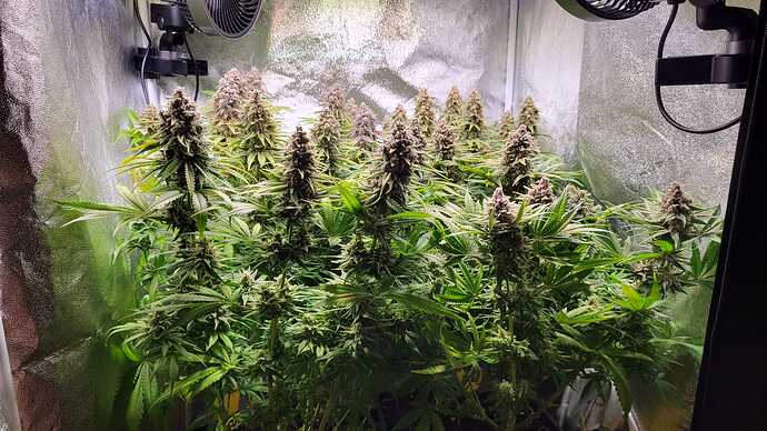 Growreport Bild 5