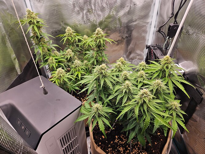 Growreport Bild 85
