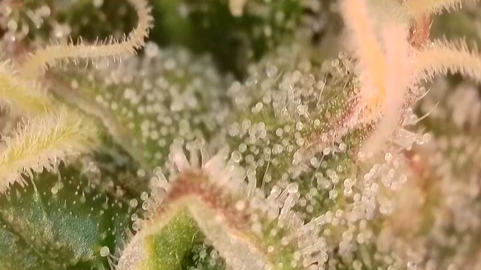 2025-10-22-075552427