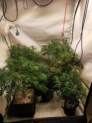 Growreport Bild 4