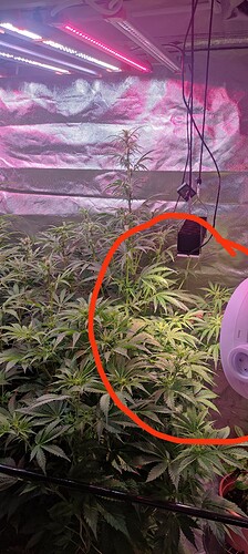 Growreport Bild 19