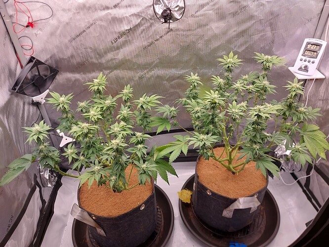 Growreport Bild 3