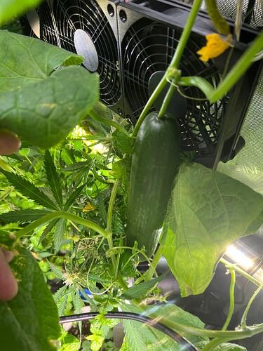 Growreport Bild 26