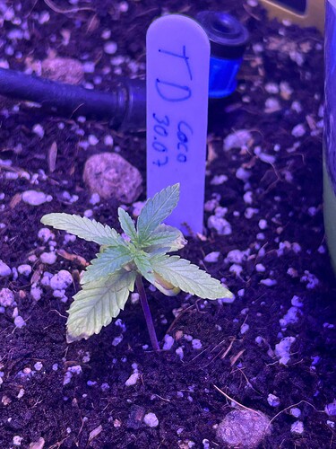 Growreport Bild 14