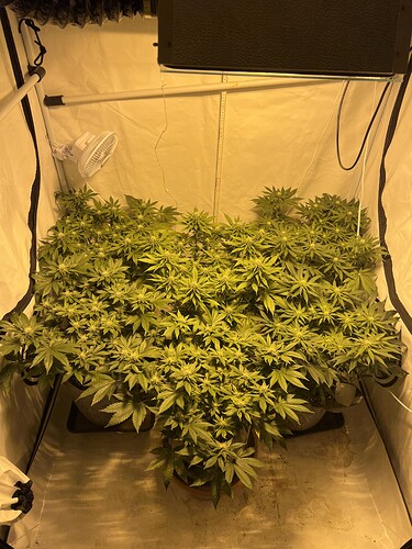 Growreport Bild 1