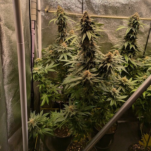 Growreport Bild 19