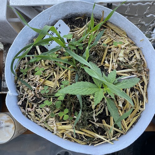 Growreport Bild 18