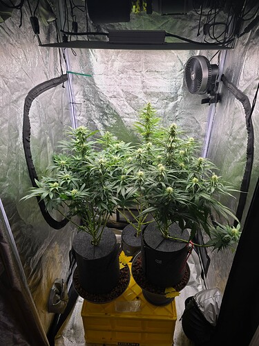 Growreport Bild 1