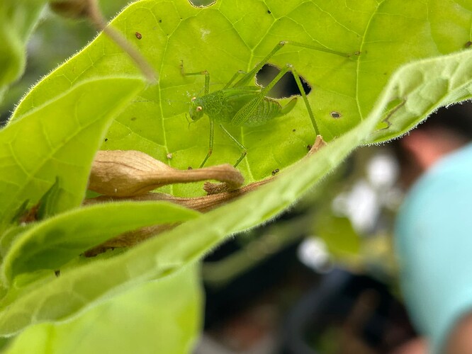 Growreport Bild 23
