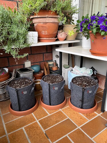 Erstmal die schattige Balkonecke