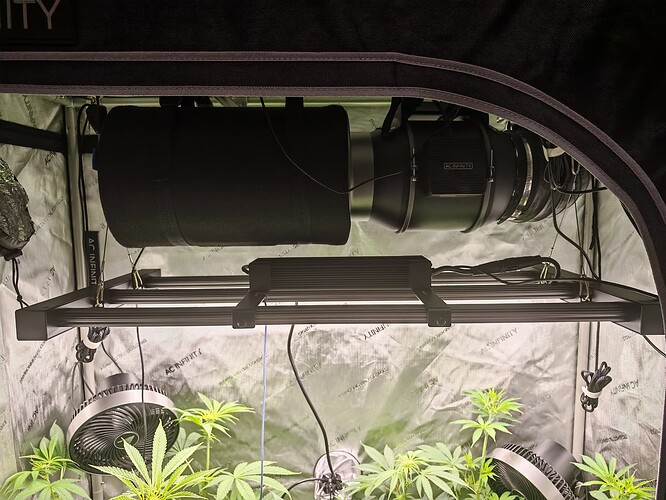 Growreport Bild 2
