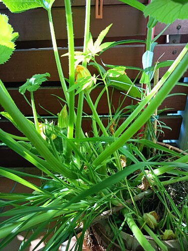 Growreport Bild 8