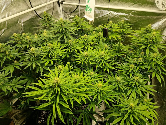 Growreport Bild 10