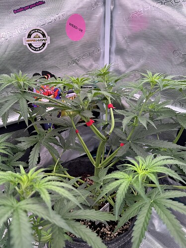 Growreport Bild 14