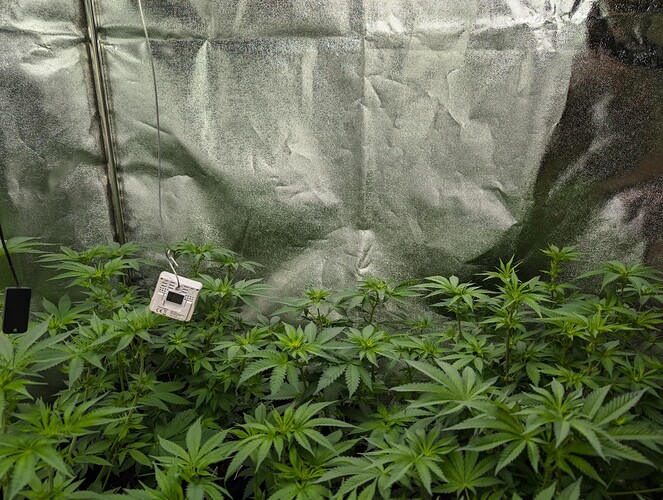 Growreport Bild 9