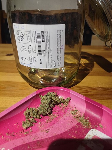 Growreport Bild 7