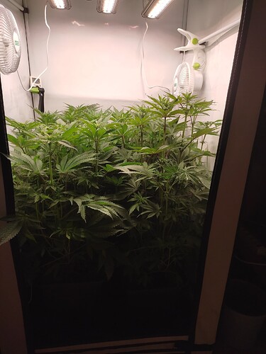 Growreport Bild 8
