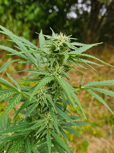 Growreport Bild 11