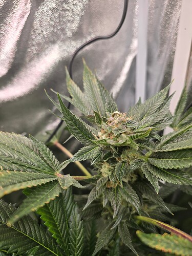 Growreport Bild 10