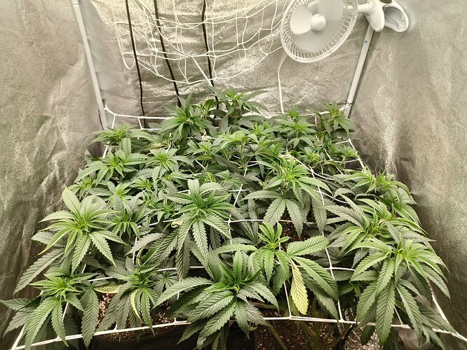 photo_5830397020781789192_y