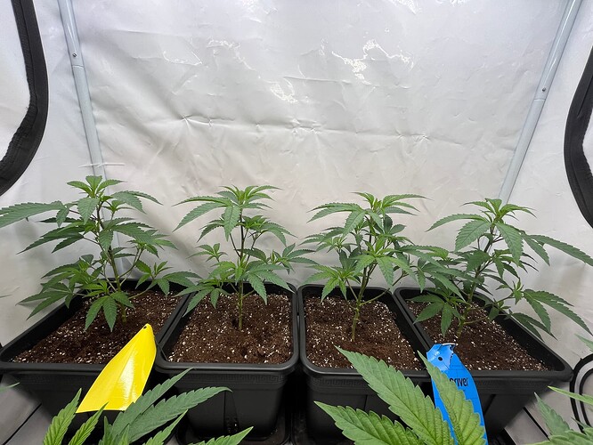 Growreport Bild 13