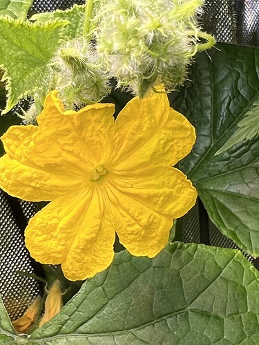 Growreport Bild 11