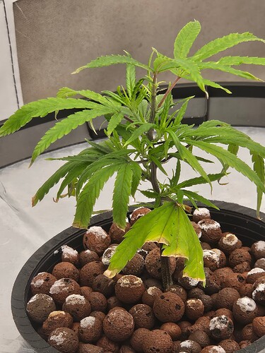 Growreport Bild 37