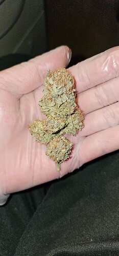 Growreport Bild 43