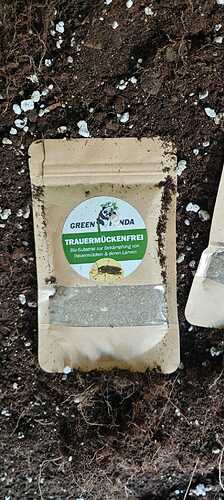 IMG-20240902-WA0030