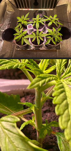Growreport Bild 10